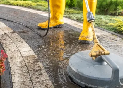 Untitled (500 x 670 px)